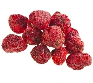 liofilizuotos-zemuoges