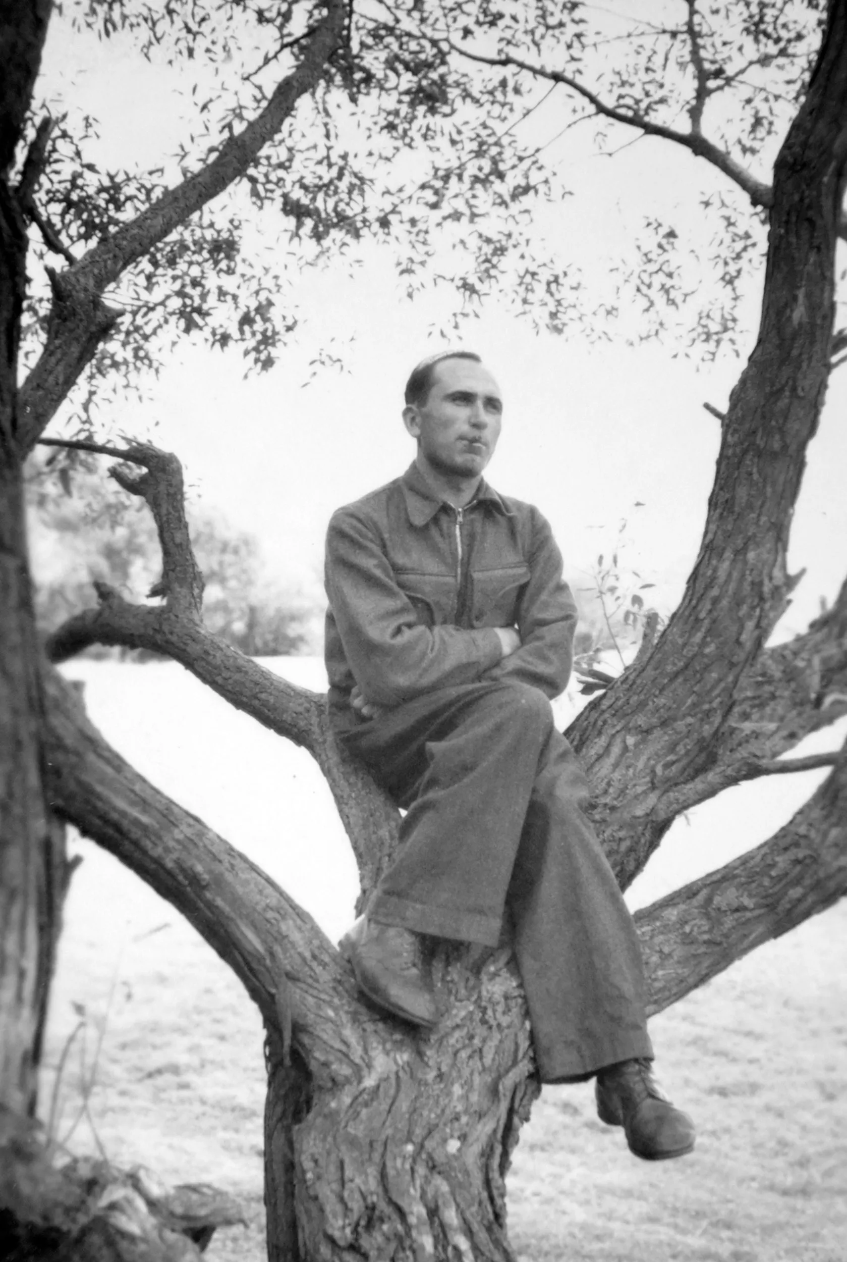 1950 m. ką tik Dotnuvoje dirbti pradėjusį Henriką, bažnyčios zakristijonas užfiksavo įsitaisiusį šventoriuje augusiame medyje. / Asmeninio archyvo nuotr.