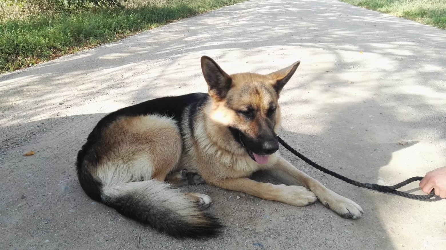 Kaip Hercogas nukeliavo visą šį atstumą lieka nežinioje.