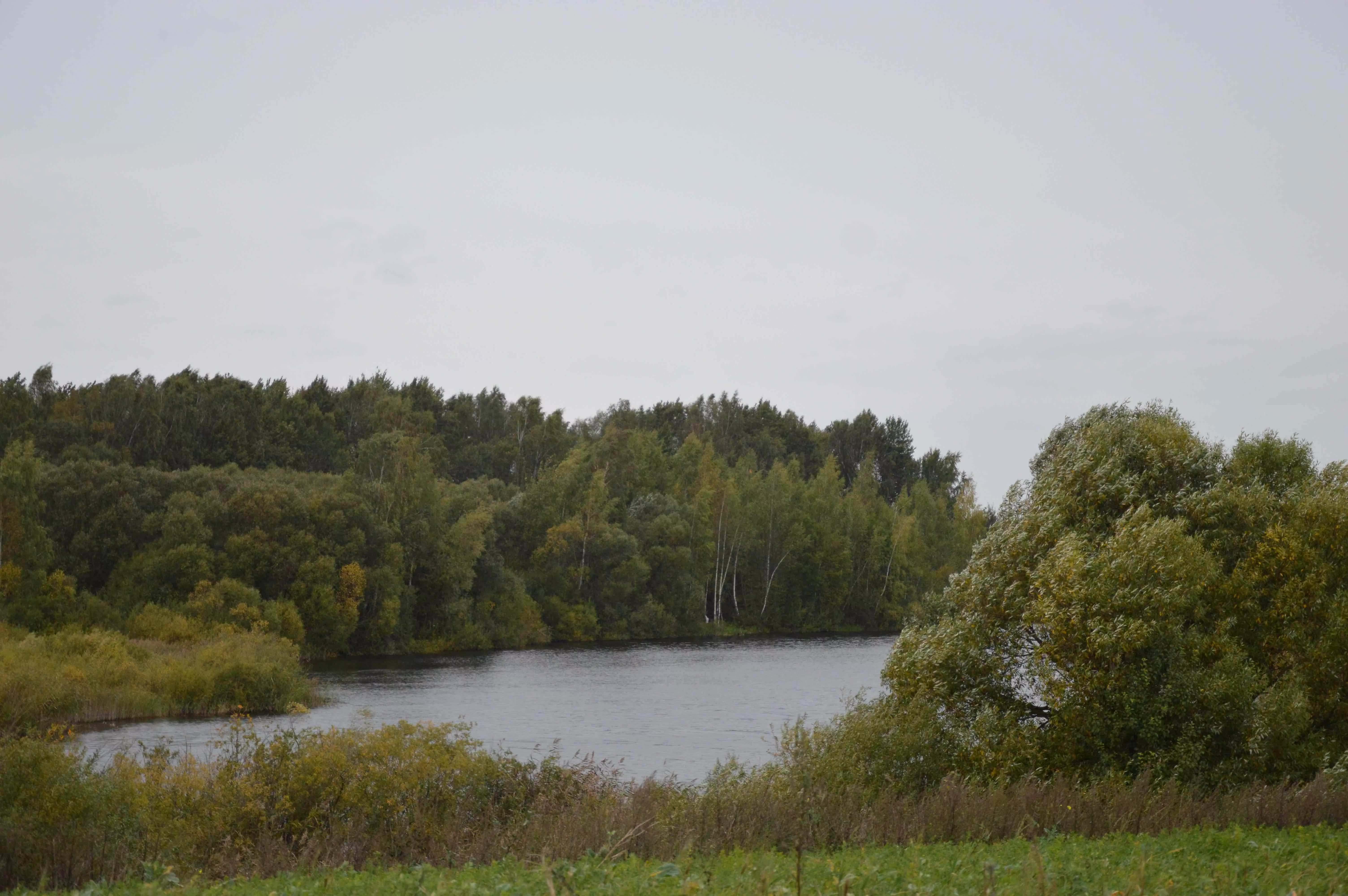 Tyvuliuojantys Liolių tvenkiniai. Juditos Gaižiuvienės nuotr. 