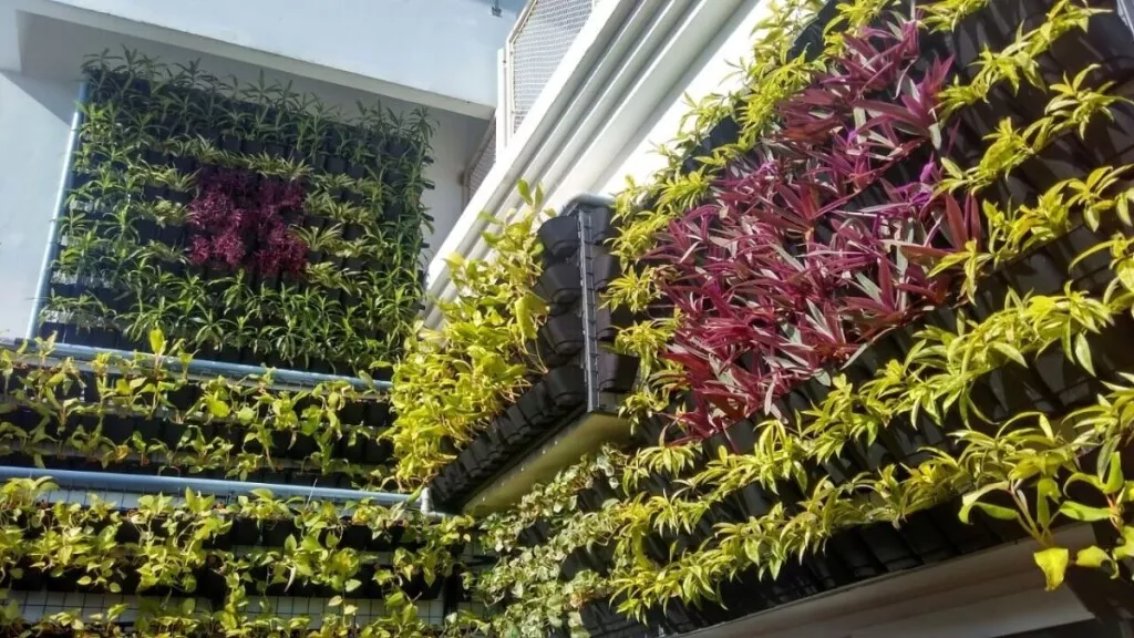 81o0ujtg8zl._sl1280__3