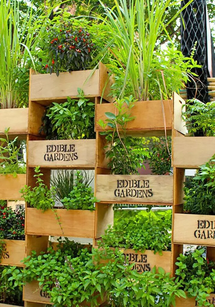 vertical-garden-1519931492