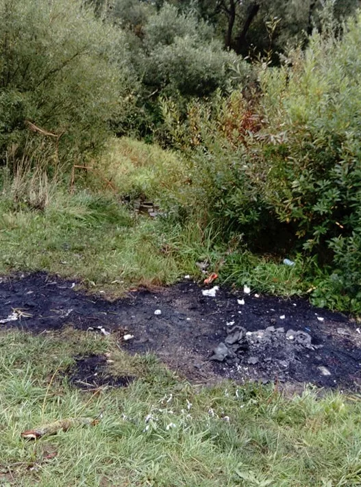Priėjusi arčiau ji įsitikino – taip darbuojasi savotiški verslininkai, kurie degina įvairius laidus, o po to neša juos priduoti į metalo supirktuvę./ Dimitrijus Kuprijanovas nuotr. 