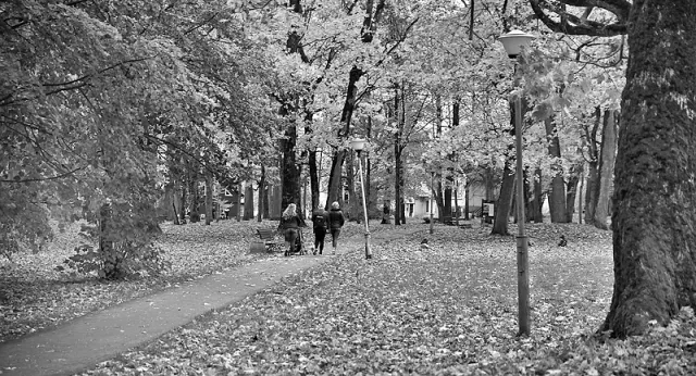 Apleistą parką norima labiau pritaikyti pasivaikščiojimams, dar vienai poilsio erdvei.