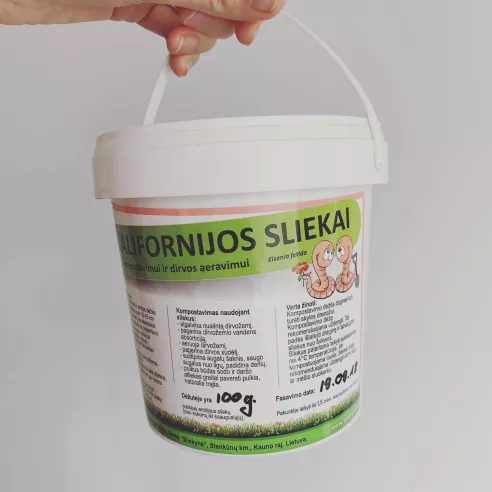 Kalifornijos sliekai, nuotr. iš asm. albumo