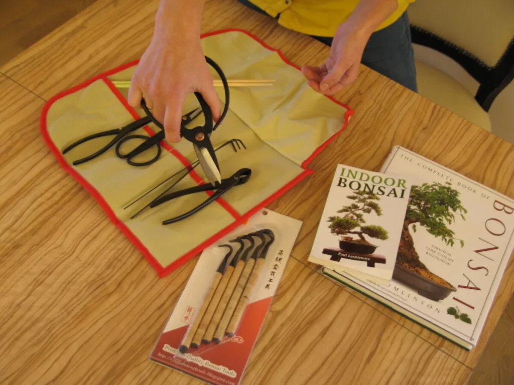 IMG_bonsai1945 (6)