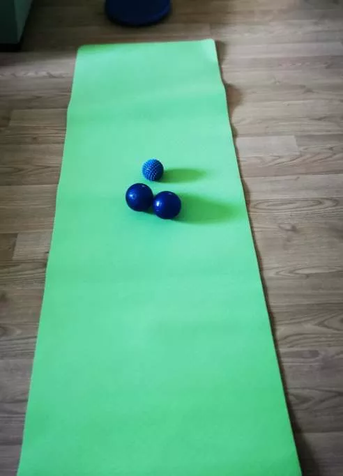Priemonės mankštai namie, nuotr. iš asm. albumo