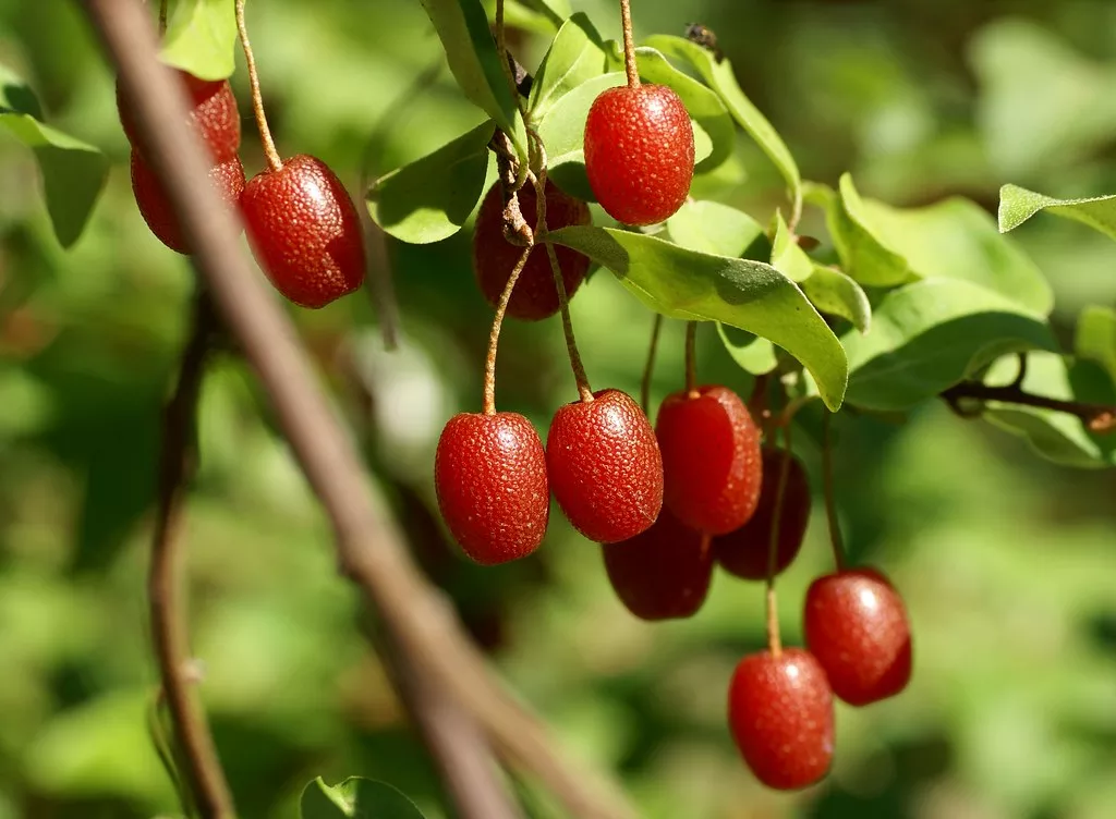 4771428805_9d08591c8d_b