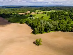 drone image. aerial view of rural area with fields