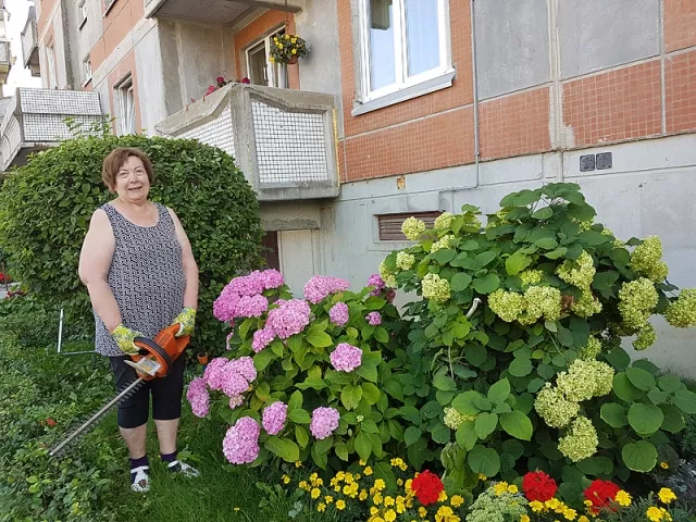 T. Jonutienė prie daugiabučio namo pasodino ne vieną gėlę ir kitų augalų. Juos prižiūri nuo pavasario iki vėlyvo rudens.