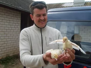  G. Cimakauskas