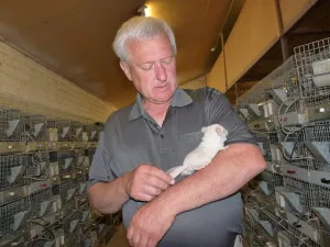 Arūnas Mickevičius