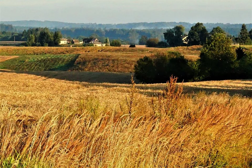 Kęstučio Kadūno nuotr.