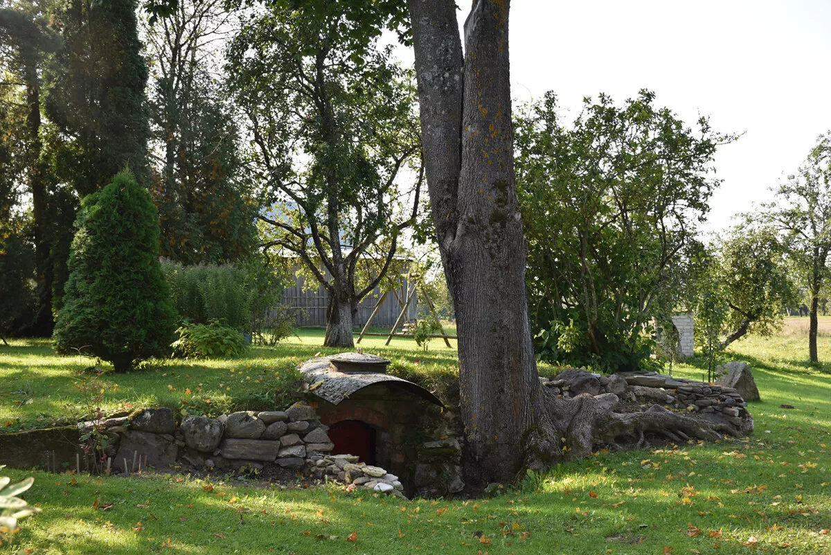Už senojo Aleksandro tėvų namo, po didžiulio medžio šaknimis slypi autentiškas senovinis rūsys – tokio kiekviename kaime nepamatysi. Asm. nuotr.