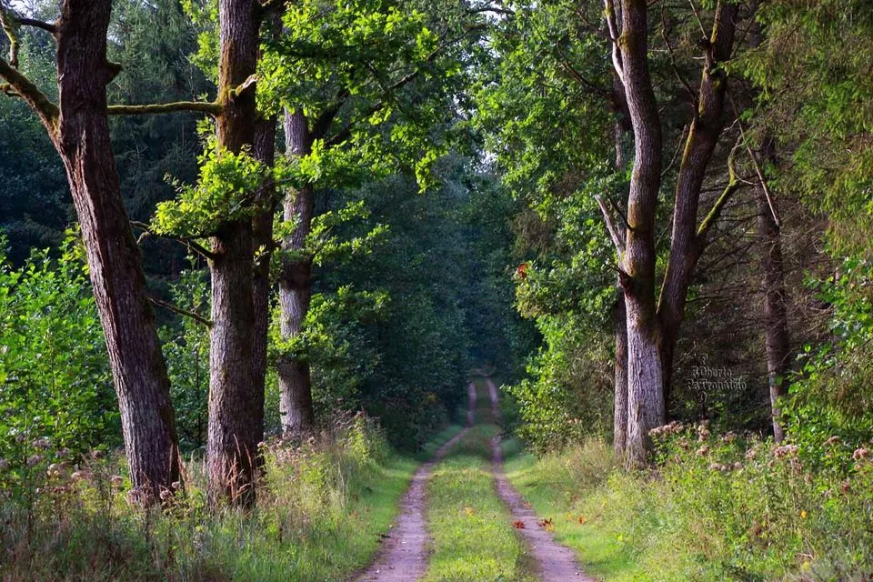 Roberto Patronaičio nuotr.