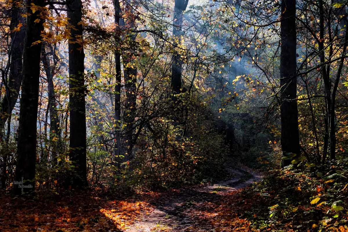 Roberto Patronaičio nuotr.